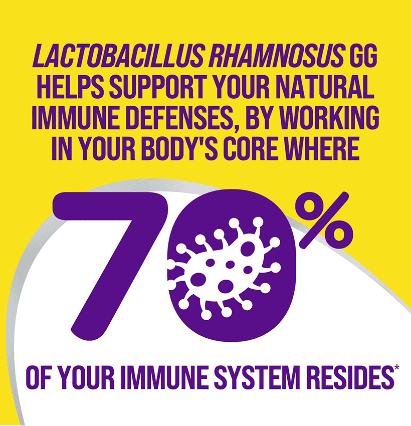 handpicked red chillies handpicked red chillies